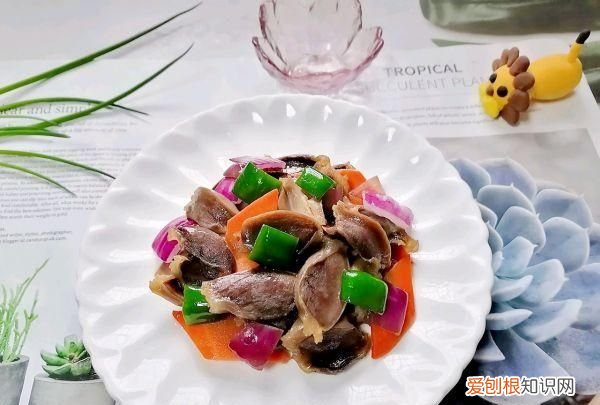 0难度的芒果干 0难度的灯笼折纸