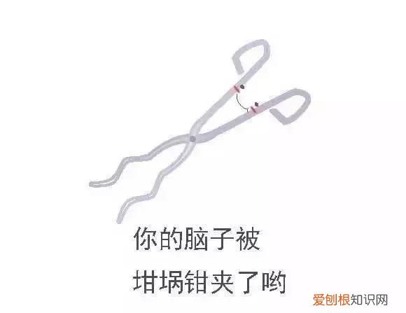 化学之家常见的化学实验仪器