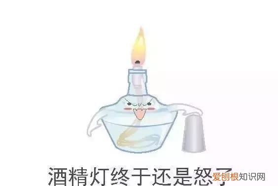 化学之家常见的化学实验仪器