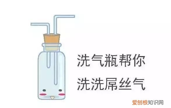 化学之家常见的化学实验仪器