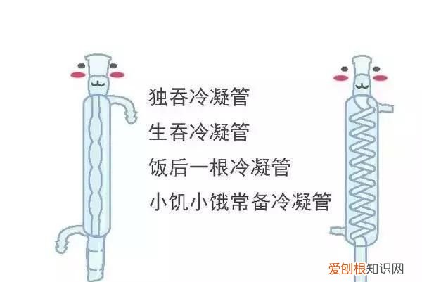 化学之家常见的化学实验仪器