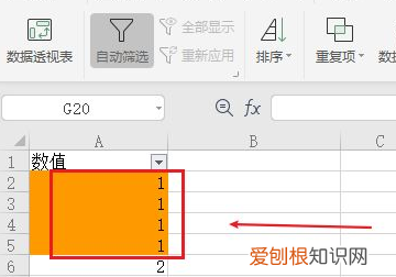 EXCEL表格如何筛选相同数据