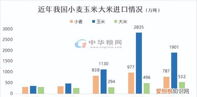 2021年粮食进口关税配额政策