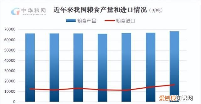 2021年粮食进口关税配额政策