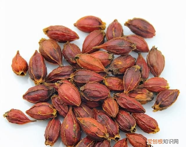 卤水发黑的原因和解决方法