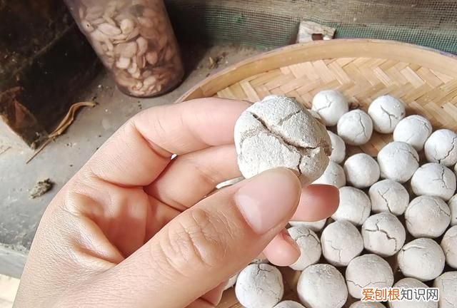 最好的甜酒曲做醪糟