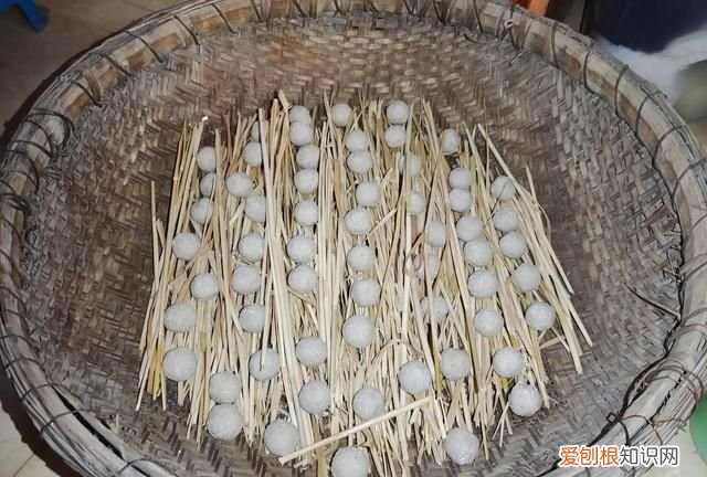 最好的甜酒曲做醪糟