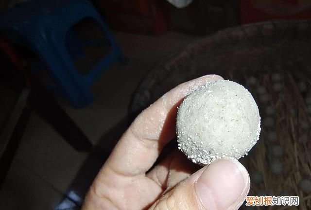 最好的甜酒曲做醪糟