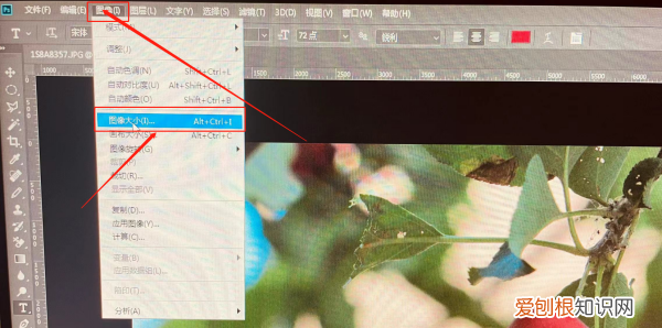 ps调整大小如何调整，ps怎么设置圆的大小