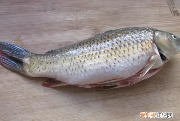 如何制作糖醋鱼，糖醋鱼怎么做好吃又简单的做法