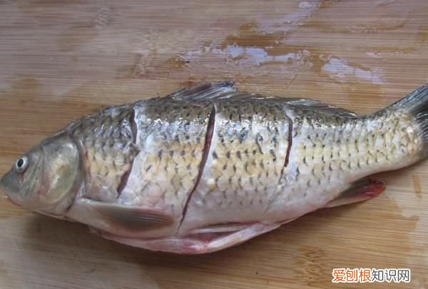 如何制作糖醋鱼，糖醋鱼怎么做好吃又简单的做法