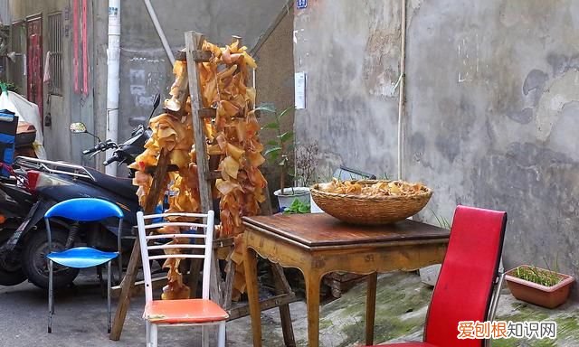 皮肚有什么特性 皮肚的图片