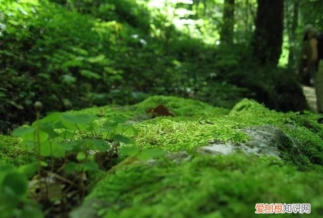 声律启蒙下卷一先晴对雨,地对天