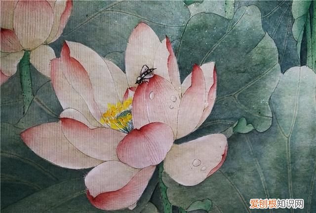 声律启蒙下卷一先晴对雨,地对天