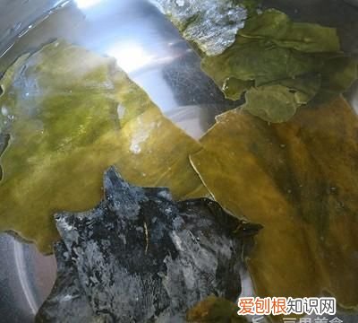 一根白萝卜关东煮坍塌,关东煮白萝卜同款