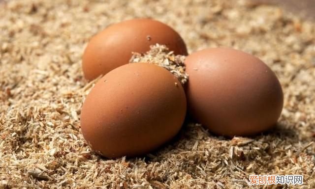 鸡蛋买回家直接放冰箱储存就废了