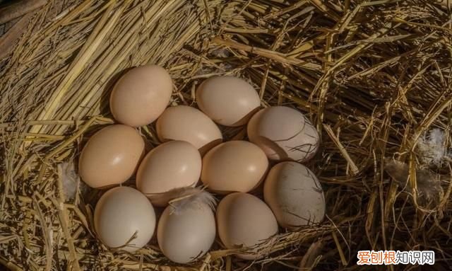 鸡蛋买回家直接放冰箱储存就废了