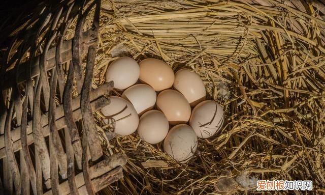 鸡蛋买回家直接放冰箱储存就废了