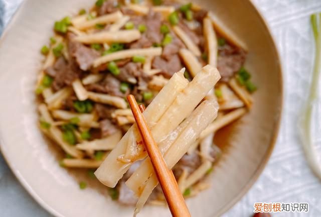 什么菜适合和牛肉炒