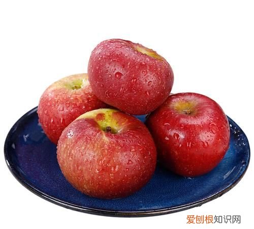 龙蛋果是啥,龙蛋果是苹果吗