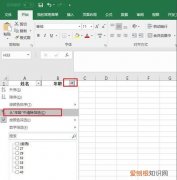 Excel表格咋的才可以做高级筛选