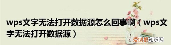 wpsword怎么删除空白页,WPS无法打开数据源怎么办