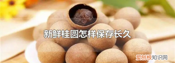 新鲜龙眼应该怎么保存，鲜龙眼怎么保存时间长