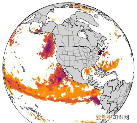 海洋太可怕了,海洋热潮连续几天