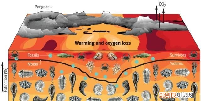海洋太可怕了,海洋热潮连续几天