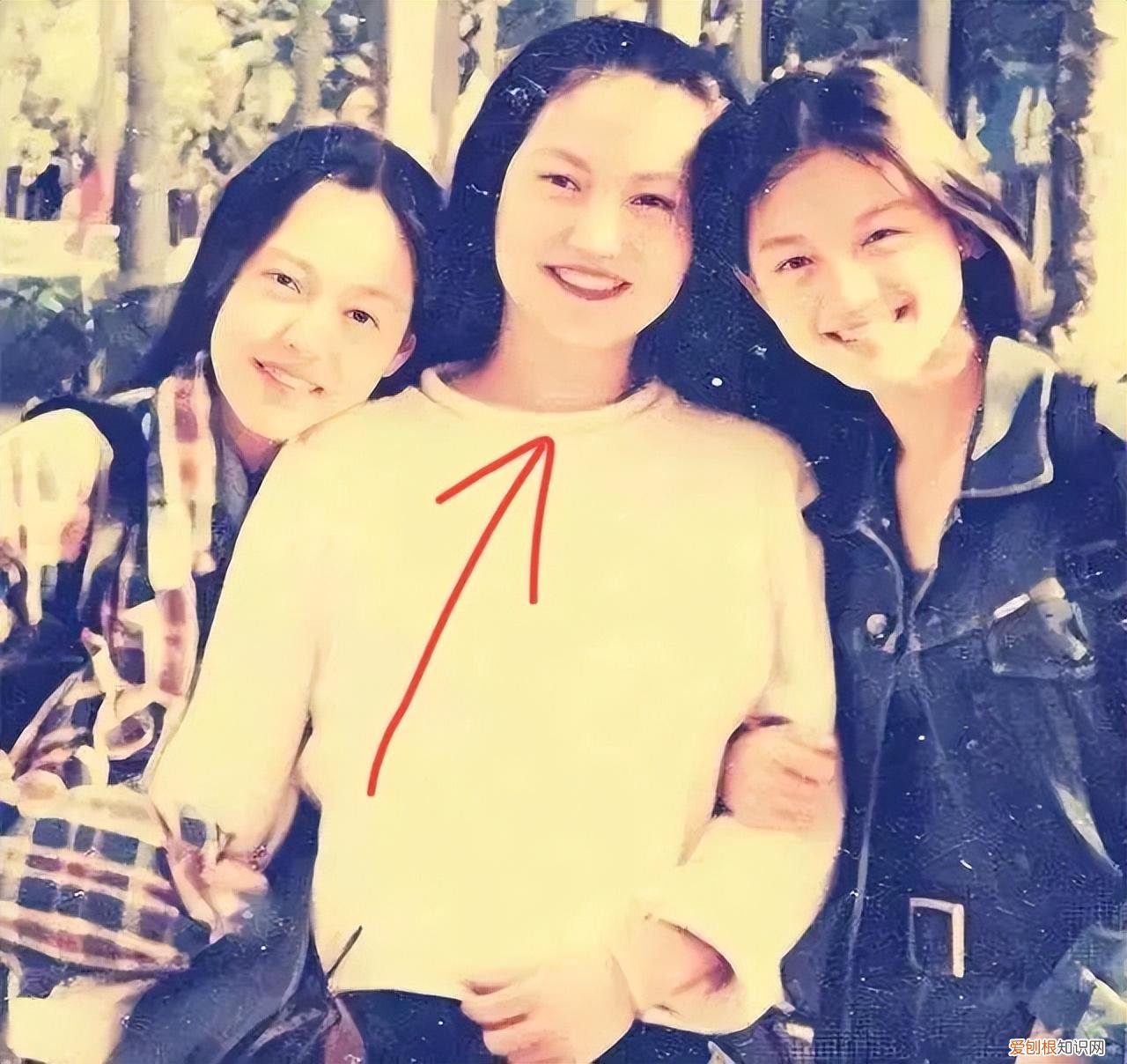 徐家三姐妹是什么电视剧