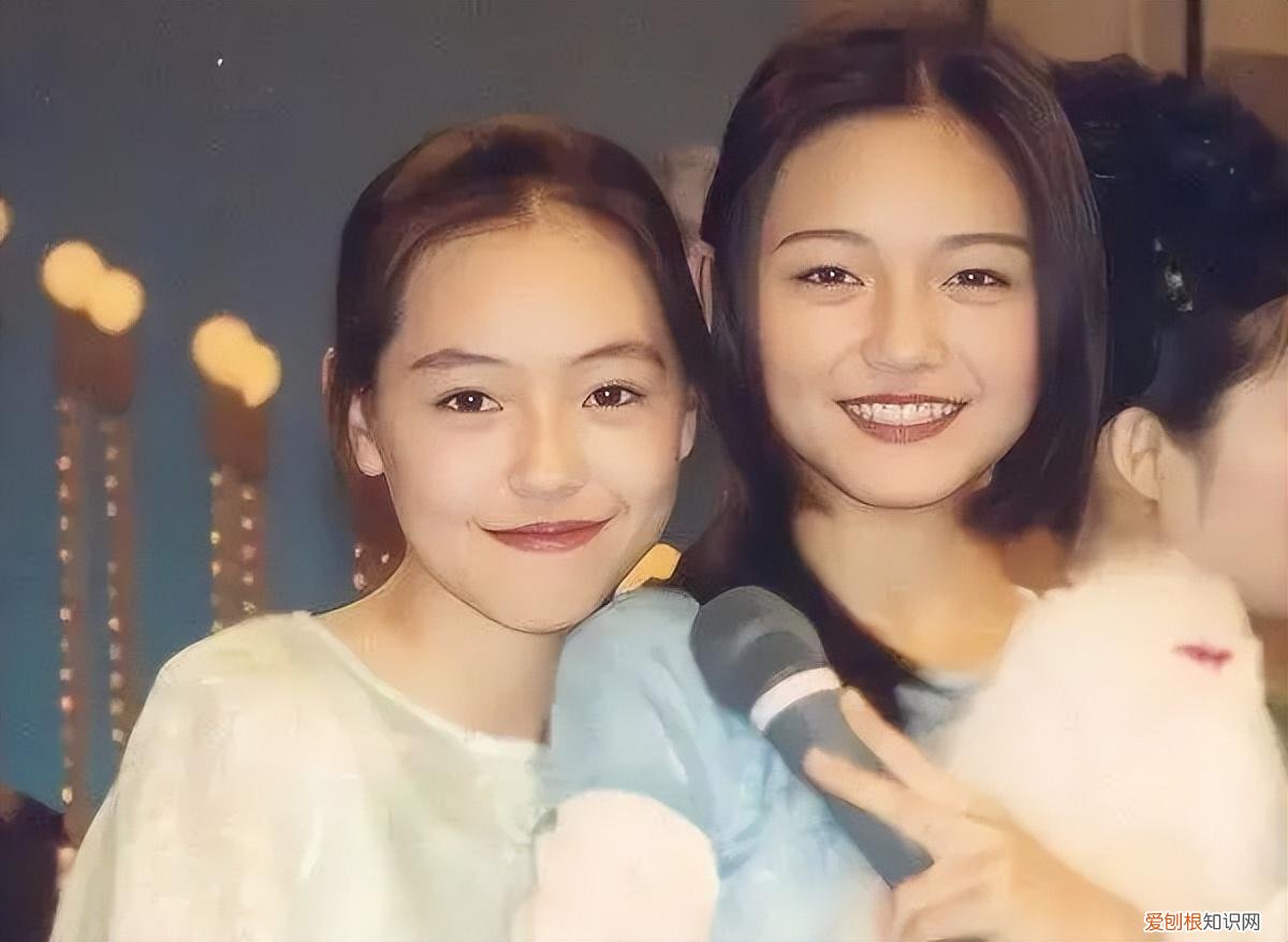 徐家三姐妹是什么电视剧