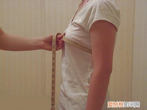 三围尺寸对照表