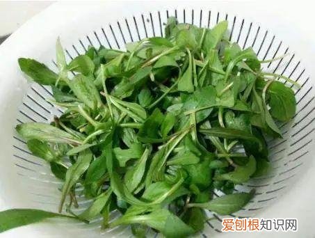 让人欲罢不能的照片动漫