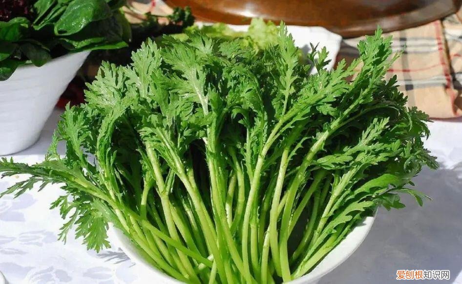 让人欲罢不能的照片动漫