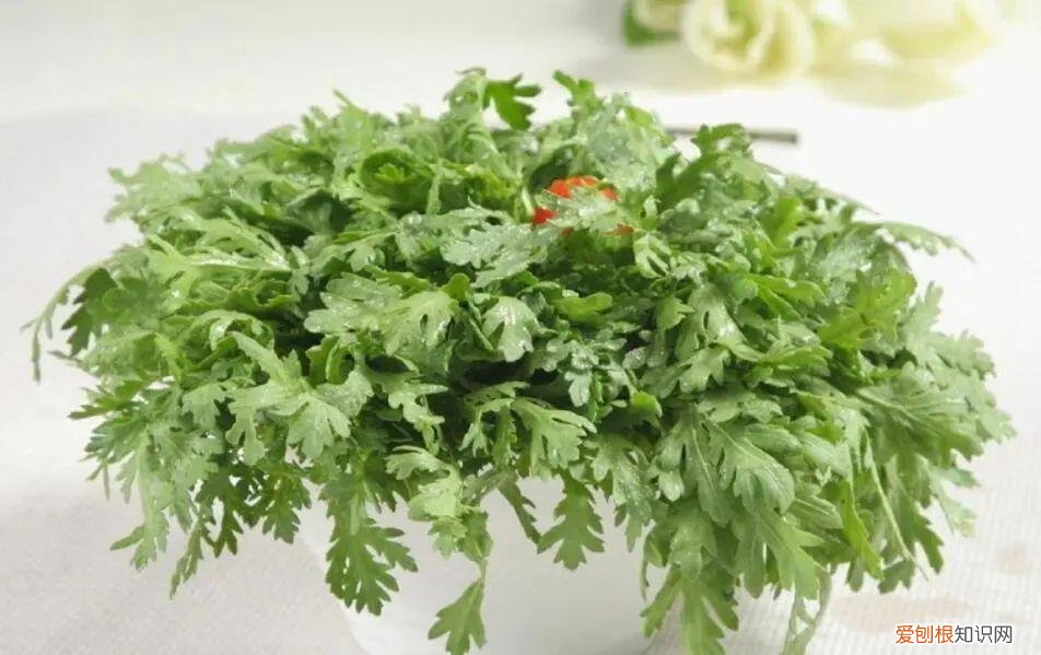 让人欲罢不能的照片动漫