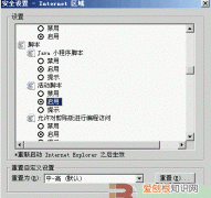 javascript浏览器脚本，IE浏览器怎么启用活动脚本