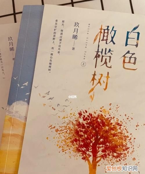 白色橄榄树中李瓒活了几岁，白色橄榄树李瓒是多少集死的