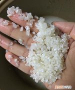大米有很多白色的一粒一粒的是什么东西
