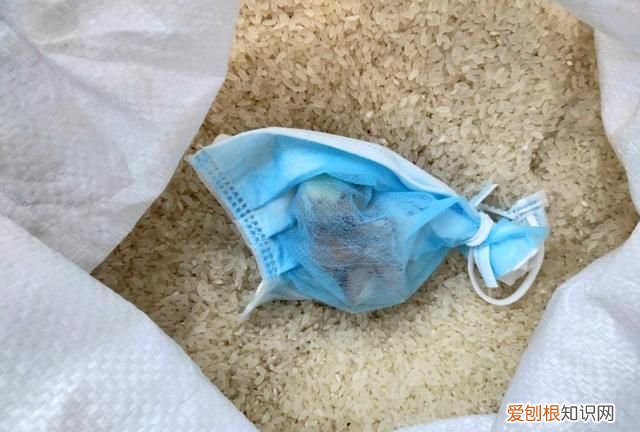 夏天大米长米虫了可以吃吗