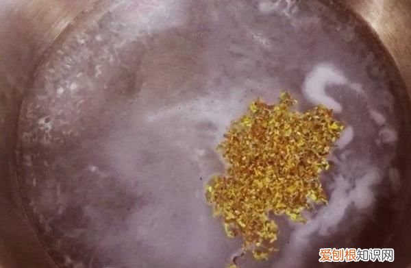 蛋挞液还能怎么用，蛋挞液还可以做什么吃