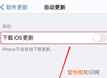 苹果手机要如何才能关闭App自动更新
