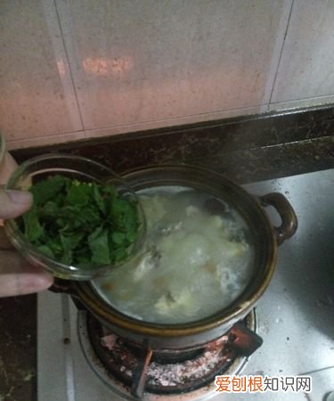 薄荷煲鸡汤有什么功效