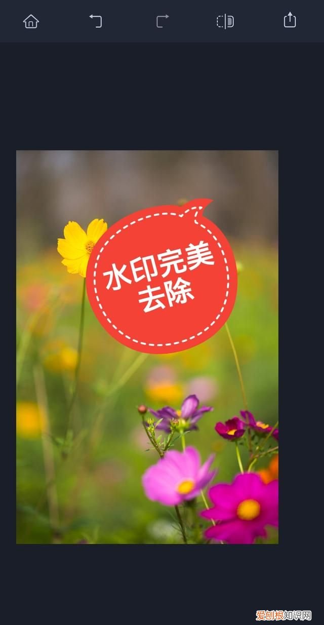 手机用什么软件可以去掉图片上的水印