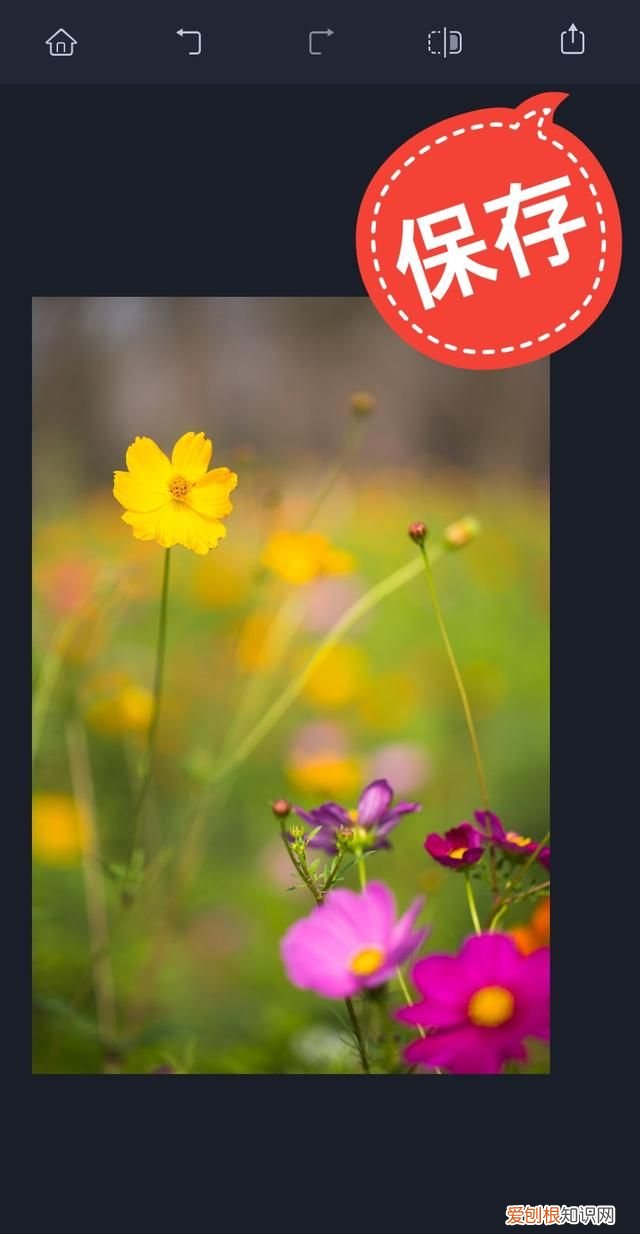 手机用什么软件可以去掉图片上的水印