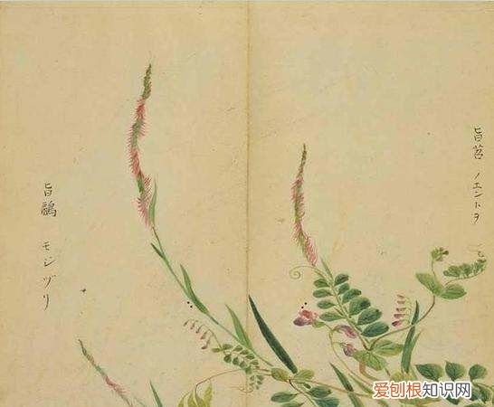 诗经的现实意义是什么，《诗经》和《楚辞》并称为什么