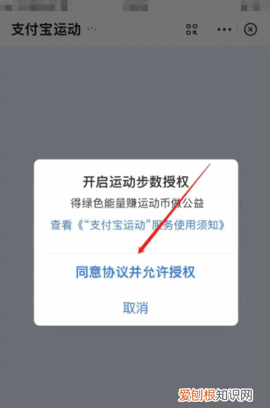 支付宝运动在哪里打开怎么使用,支付宝里的运动步数开关在哪里