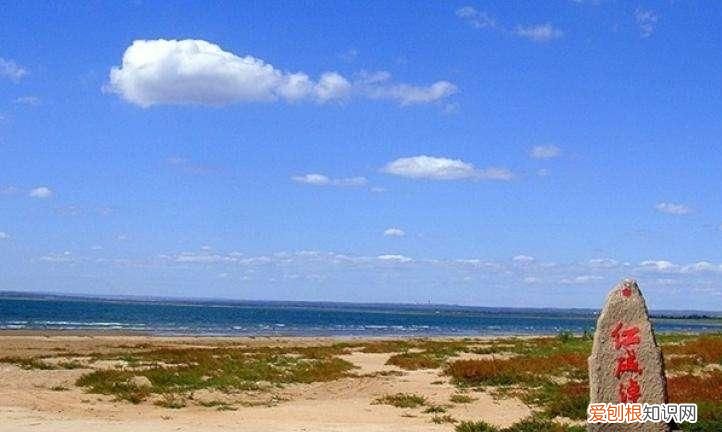 淖怎么读，葬花吟中强于污淖陷渠沟的淖读什么音