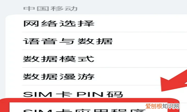 苹果手机要咋才能导出通讯录