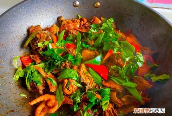 红烧鸡的做法家常，红烧公鸡的家常做法