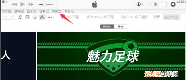 ios已购项目怎么取消隐藏